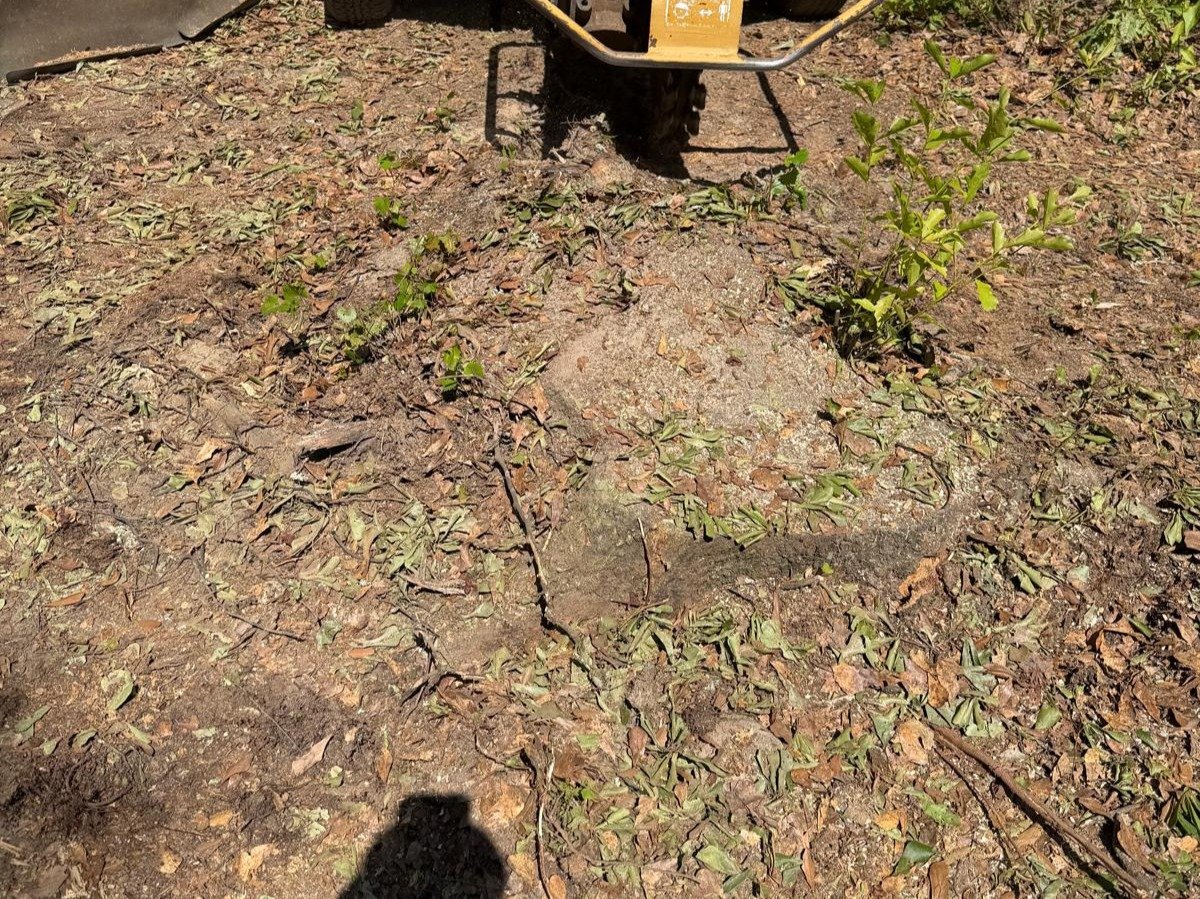 El Costeño Tree Service LLC